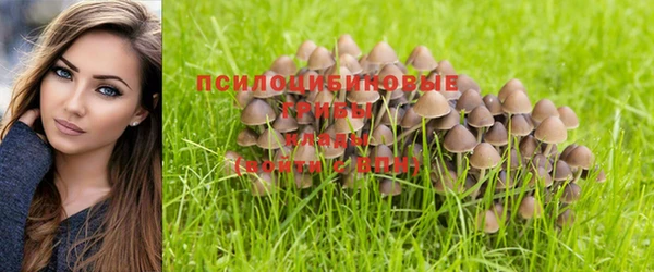 метадон Белоозёрский