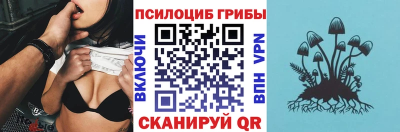 сколько стоит  гидра как войти  Галлюциногенные грибы Magic Shrooms  Борзя 