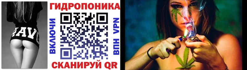 сколько стоит  мориарти формула  Бошки марихуана THC 21%  Борзя 